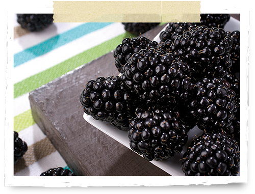 Blackberries