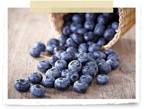 Blueberries spread out on a table