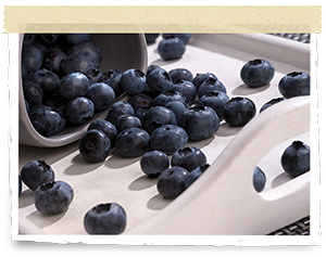 Blueberries on a plate