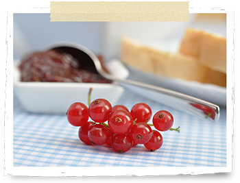 Red currants and breakfast